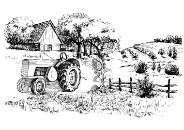 Küçük tepelerdeki yeşil çim tarlası. Çayır, alkali, kül suyu, çayır, kulplu, lea, otlak, çiftlik. Kırsal manzara manzarası kırsal çayırların manzarası. Vektör çizimi çizimi