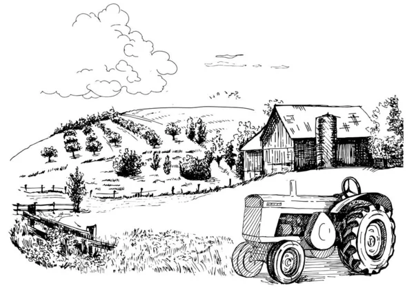 언덕에 알칼리 목초지 풍경은 목초지의 전경을 보여준다 스케치 일러스트 — 스톡 벡터