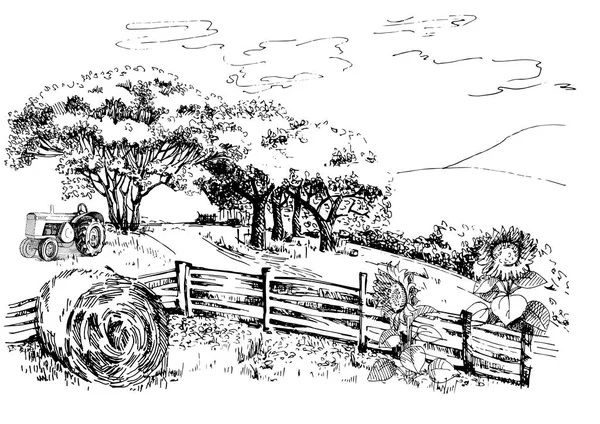 언덕에 알칼리 목초지 풍경은 목초지의 전경을 보여준다 스케치 일러스트 — 스톡 벡터