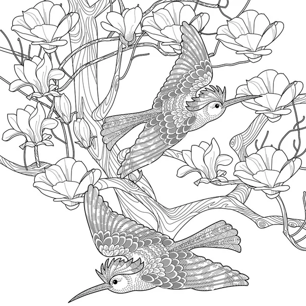Coloriage Art Thérapie Livre Colorier Antistress Pour Enfants Adultes Oiseaux — Image vectorielle