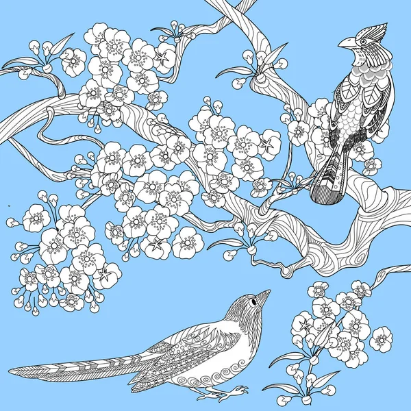 Stránka Pro Omalovánky Omalovánky Antistress Pro Děti Dospělé Ptáci Květiny — Stockový vektor