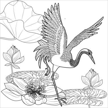 Coloring Pages. Coloring Book for adults and children. Colouring pictures with stork. Linear engraved art. Bird concept. Romantic concept. Vector design