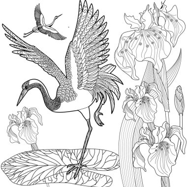 Coloring Pages. Coloring Book for adults and children. Colouring pictures with stork. Linear engraved art. Bird concept. Romantic concept. Vector design