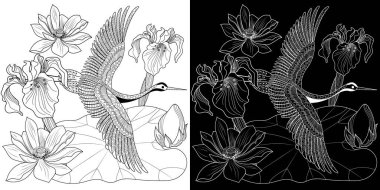 Coloring Pages. Coloring Book for adults and children. Colouring pictures with stork. Linear engraved art. Bird concept. Romantic concept. Vector design