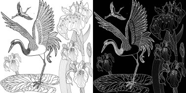 Coloring Pages. Coloring Book for adults and children. Colouring pictures with stork. Linear engraved art. Bird concept. Romantic concept. Vector design