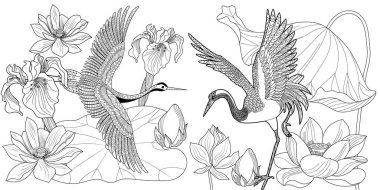 Coloring Pages. Coloring Book for adults and children. Colouring pictures with stork. Linear engraved art. Bird concept. Romantic concept. Vector design