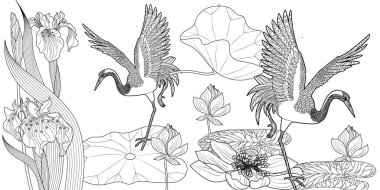 Coloring Pages. Coloring Book for adults and children. Colouring pictures with stork. Linear engraved art. Bird concept. Romantic concept. Vector design