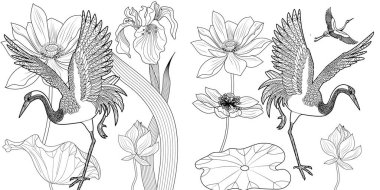 Coloring Pages. Coloring Book for adults and children. Colouring pictures with stork. Linear engraved art. Bird concept. Romantic concept. Vector design