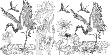 Coloring Pages. Coloring Book for adults and children. Colouring pictures with stork. Linear engraved art. Bird concept. Romantic concept. Vector design