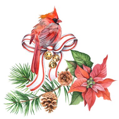 Kardinal kuşlar - Noel 'in sembolü, olgun kırmızı nar. Beyaz arkaplanda izole edilmiş tasarım elemanları. Suluboya tarzında vektör illüstrasyonu.