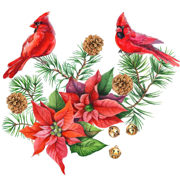 Cardinal birds - a symbol of Christmas, ripe red pomegranate . Set of design elements isolated on white background. Vector illustration in a watercolor style.