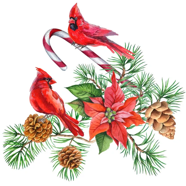 枢機卿の鳥 クリスマスのシンボル 熟した赤いザクロ ホワイトバックグラウンドで分離されたデザイン要素のセット 水彩画スタイルのベクトルイラスト — ストックベクタ