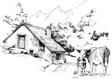 Kırsal alan. Çayır, alkali, kül suyu, çayır, kulplu, lea, otlak, çiftlik. Kırsal manzara manzarası kırsal çayırların manzarası. Vektör çizimi çizimi