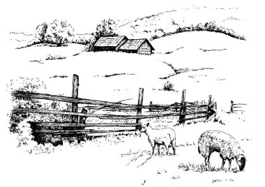 Kırsal alan. Çayır, alkali, kül suyu, çayır, kulplu, lea, otlak, çiftlik. Kırsal manzara manzarası kırsal çayırların manzarası. Vektör çizimi çizimi