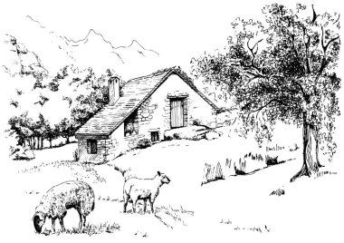 Kırsal alan. Çayır, alkali, kül suyu, çayır, kulplu, lea, otlak, çiftlik. Kırsal manzara manzarası kırsal çayırların manzarası. Vektör çizimi çizimi