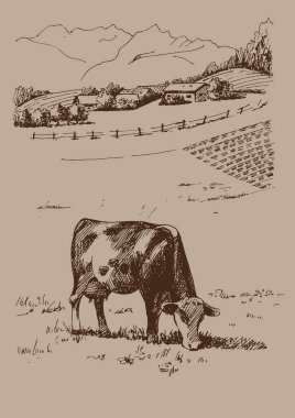 Kırsal alan. Çayır, alkali, kül suyu, çayır, kulplu, lea, otlak, çiftlik. Kırsal manzara manzarası kırsal çayırların manzarası. Vektör çizimi çizimi