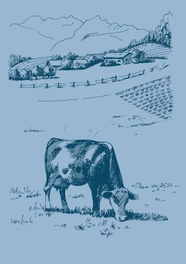 Kırsal alan. Çayır, alkali, kül suyu, çayır, kulplu, lea, otlak, çiftlik. Kırsal manzara manzarası kırsal çayırların manzarası. Vektör çizimi çizimi