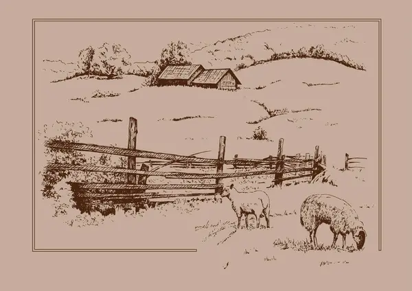 Kırsal alan. Çayır, alkali, kül suyu, çayır, kulplu, lea, otlak, çiftlik. Kırsal manzara manzarası kırsal çayırların manzarası. Vektör çizimi çizimi