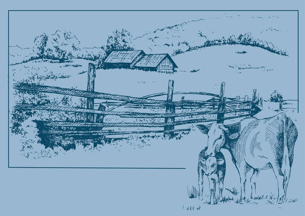 Rural scenery. Meadow, alkali, lye, grassland, pommel, lea, pasturage, farm. Rural scenery landscape panorama of countryside pastures. Vector sketch illustration