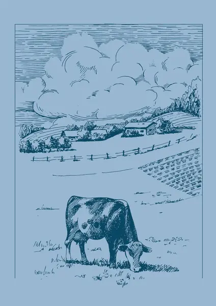 Kırsal alan. Çayır, alkali, kül suyu, çayır, kulplu, lea, otlak, çiftlik. Kırsal manzara manzarası kırsal çayırların manzarası. Vektör çizimi çizimi