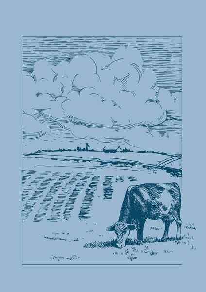 Rural scenery. Meadow, alkali, lye, grassland, pommel, lea, pasturage, farm. Rural scenery landscape panorama of countryside pastures. Vector sketch illustration