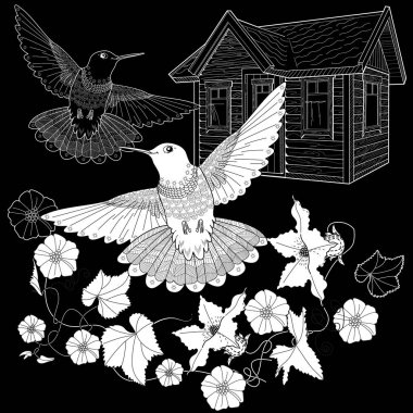 Sanat terapisi boyama sayfası. Çocuklar ve yetişkinler için boyama kitabı antistresi. Kuşlar ve çiçekler klasik tarzda çizilmiş. Doğaya daha bağlı hissetmek isteyenler için ideal.