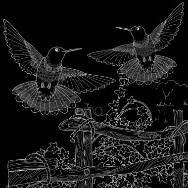 Sanat terapisi boyama sayfası. Çocuklar ve yetişkinler için boyama kitabı antistresi. Kuşlar ve çiçekler klasik tarzda çizilmiş. Doğaya daha bağlı hissetmek isteyenler için ideal.