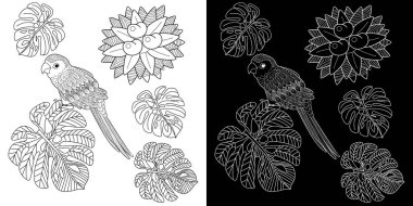 Sanat terapisi boyama sayfası. Çocuklar ve yetişkinler için boyama kitabı antistresi. Kuşlar klasik tarzda çizilmiş. Doğrusal oyma sanatı.