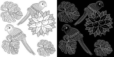 Sanat terapisi boyama sayfası. Çocuklar ve yetişkinler için boyama kitabı antistresi. Kuşlar klasik tarzda çizilmiş. Doğrusal oyma sanatı.