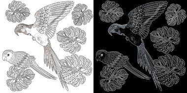 Sanat terapisi boyama sayfası. Çocuklar ve yetişkinler için boyama kitabı antistresi. Kuşlar klasik tarzda çizilmiş. Doğrusal oyma sanatı.