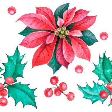 Noel çobanpüskülü, Poinsettia çiçeği, duvar kağıdı için köknar dalları, hediye kağıdı, desenler, tekstil, tebrik kartları.