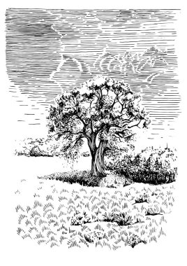 Kırsal manzaranın manzarası. Kalem çizimi vektör çizimine çevrildi