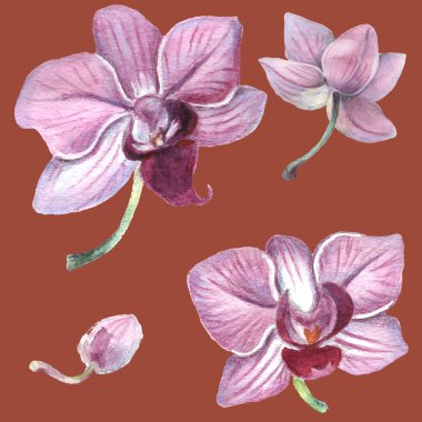 Kusursuz desen. Kalıplı çiçek. Suluboya tarzında bir vektör illüstrasyonu. Yazdırılmış materyalleri, işaretleri, nesneleri, web sitelerini, haritaları kullan.