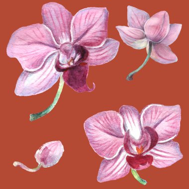 Kusursuz desen. Kalıplı çiçek. Suluboya tarzında bir vektör illüstrasyonu. Yazdırılmış materyalleri, işaretleri, nesneleri, web sitelerini, haritaları kullan.