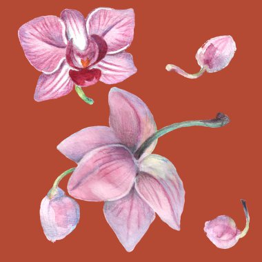 Kusursuz desen. Kalıplı çiçek. Suluboya tarzında bir vektör illüstrasyonu. Yazdırılmış materyalleri, işaretleri, nesneleri, web sitelerini, haritaları kullan.