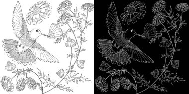 Sanat terapisi boyama sayfası. Çocuklar ve yetişkinler için boyama kitabı antistresi. Kuşlar ve çiçekler klasik tarzda çizilmiş. Doğaya daha bağlı hissetmek isteyenler için ideal..