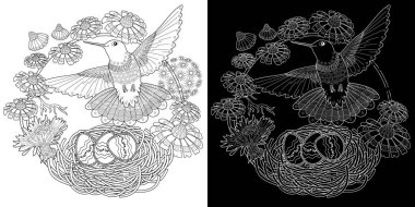 Sanat terapisi boyama sayfası. Çocuklar ve yetişkinler için boyama kitabı antistresi. Kuşlar ve çiçekler klasik tarzda çizilmiş. Doğaya daha bağlı hissetmek isteyenler için ideal..