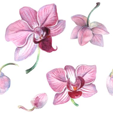 Kalıplı çiçek. Suluboya tarzında bir vektör illüstrasyonu. Yazdırılmış materyalleri, işaretleri, nesneleri, web sitelerini, haritaları kullan.