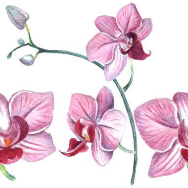 Kalıplı çiçek. Suluboya tarzında bir vektör illüstrasyonu. Yazdırılmış materyalleri, işaretleri, nesneleri, web sitelerini, haritaları kullan.