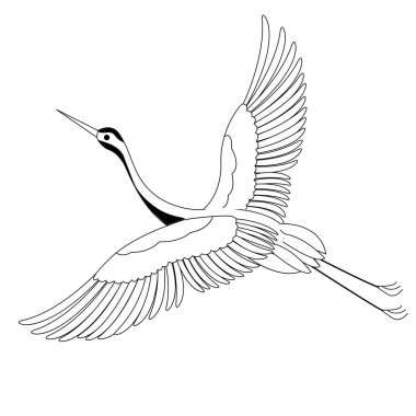 Sanat terapisi boyama sayfası. Çocuklar ve yetişkinler için boyama kitabı antistresi. Kuşlar klasik tarzda çizilmiş. Doğrusal oyma sanatı.