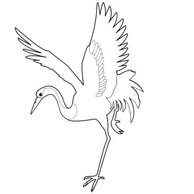 Sanat terapisi boyama sayfası. Çocuklar ve yetişkinler için boyama kitabı antistresi. Kuşlar klasik tarzda çizilmiş. Doğrusal oyma sanatı.