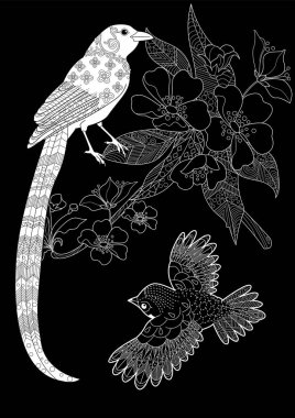 Sanat terapisi boyama sayfası. Çocuklar ve yetişkinler için boyama kitabı antistresi. Kuşlar ve çiçekler klasik tarzda çizilmiş. Doğaya daha bağlı hissetmek isteyenler için ideal..