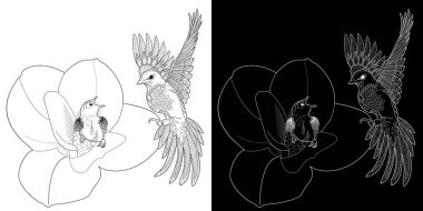 Sanat terapisi boyama sayfası. Çocuklar ve yetişkinler için boyama kitabı antistresi. Kuşlar ve çiçekler klasik tarzda çizilmiş. Doğaya daha bağlı hissetmek isteyenler için ideal..