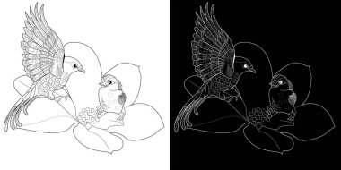 Sanat terapisi boyama sayfası. Çocuklar ve yetişkinler için boyama kitabı antistresi. Kuşlar ve çiçekler klasik tarzda çizilmiş. Doğaya daha bağlı hissetmek isteyenler için ideal..