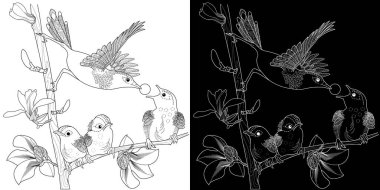Sanat terapisi boyama sayfası. Çocuklar ve yetişkinler için boyama kitabı antistresi. Kuşlar ve çiçekler klasik tarzda çizilmiş. Doğaya daha bağlı hissetmek isteyenler için ideal..
