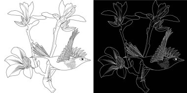 Sanat terapisi boyama sayfası. Çocuklar ve yetişkinler için boyama kitabı antistresi. Kuşlar ve çiçekler klasik tarzda çizilmiş. Doğaya daha bağlı hissetmek isteyenler için ideal..