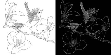 Sanat terapisi boyama sayfası. Çocuklar ve yetişkinler için boyama kitabı antistresi. Kuşlar ve çiçekler klasik tarzda çizilmiş. Doğaya daha bağlı hissetmek isteyenler için ideal..