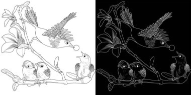 Sanat terapisi boyama sayfası. Çocuklar ve yetişkinler için boyama kitabı antistresi. Kuşlar ve çiçekler klasik tarzda çizilmiş. Doğaya daha bağlı hissetmek isteyenler için ideal..