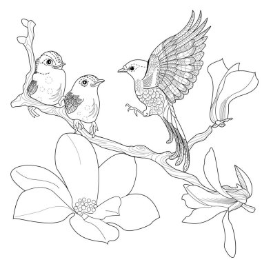 Sanat terapisi boyama sayfası. Çocuklar ve yetişkinler için boyama kitabı antistresi. Kuşlar ve çiçekler klasik tarzda çizilmiş. Doğaya daha bağlı hissetmek isteyenler için ideal..