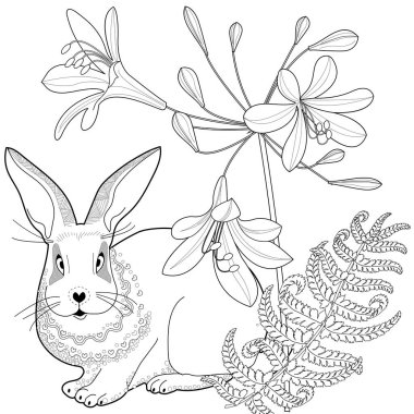 Sanat terapisi boyama sayfası. Flovers 'ın doğrusal görüntüsü. Resimler kartlar, çıkartmalar, duvar kağıtları ve diğer projeler için mükemmel.